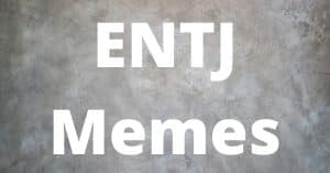 ENTJ Memes