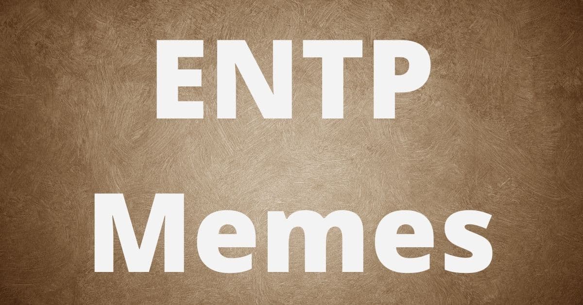 ENTP Memes